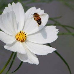 dailyPhoto6